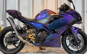 KAWASAKI NINJA 250 EX250P