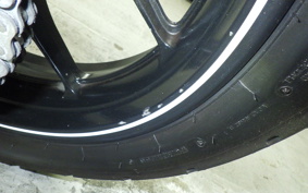 SUZUKI GSX250R 2024