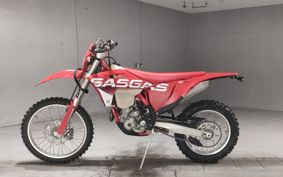 GASGAS EC 250 F GCA