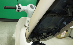 HONDA C110 SUPER CUB