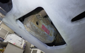 SUZUKI ZZ 2026 CA1PB