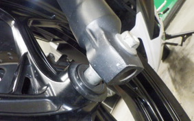 KAWASAKI Z250 ER250C