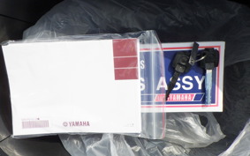 YAMAHA CYGNUSｸﾞﾘﾌｧｽ 2017 SEJ4J