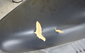 HONDA GYRO CANOPY TA03