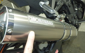 KAWASAKI NINJA 250R 2024 EX250K