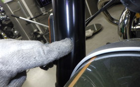 OTHER +ENFIELD SUPER ﾒﾃｵ650 2023