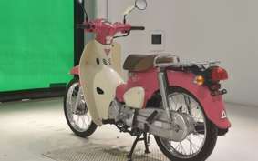 HONDA C110 SUPER CUB 2010 JA44