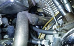 OTHER +UNREGISTERED MODEL by BDS1200 2010