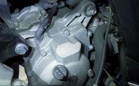 YAMAHA X-MAX 250 A 2024 SG42J