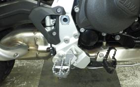 BMW F900GS 2024
