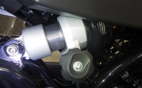 HARLEY X500 2024