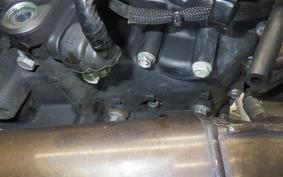 KAWASAKI Z250 Gen.2 2020 EX250Y