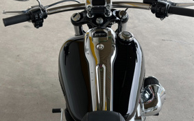 HARLEY FXBR 2024 YEZ