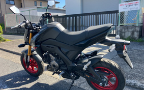 KAWASAKI Z125 PRO BR125H