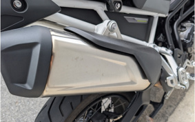 TRIUMPH TIGER 900 RALLY PRO 2024 TRE67D
