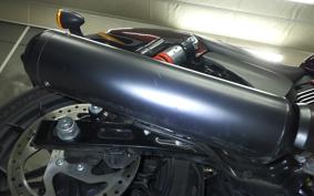 HARLEY XG750 STREET ROD 2020
