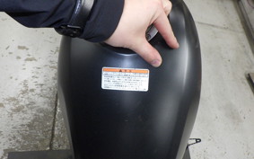 HONDA REBEL 250 A 2023 MC49