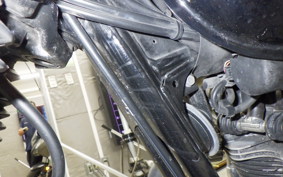 KAWASAKI W800 2011 EJ800A
