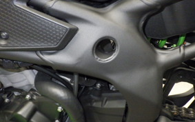 KAWASAKI ZX-4RR 2024 ZX400P