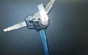 YAMAHA TRICKER DG10J