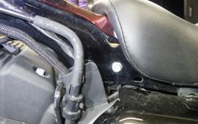 HARLEY XL1200NS 2019