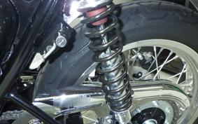 KAWASAKI W800 2020 EJ800B