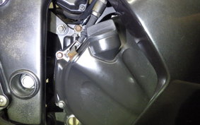 KAWASAKI NINJA 250R 2023 EX250K