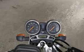 YAMAHA YBR250 PCNL