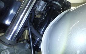 SUZUKI ST250 2001 NJ4AA