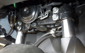 YAMAHA X FORCE SG79J