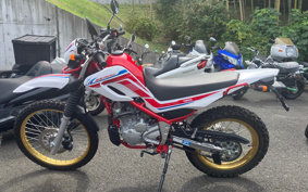 YAMAHA  SEROW 250 FINAL ED DG31J