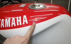 YAMAHA TZR250