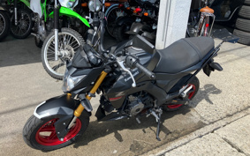 KAWASAKI Z125 PRO BR125H