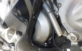 KAWASAKI ZZ-R250 EX250H