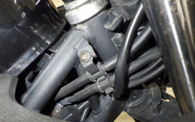 KAWASAKI NINJA 250 EX250P