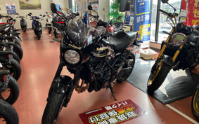 KAWASAKI Z900RS CAFE 2024 ZR900K