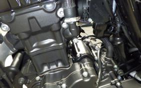 HONDA REBEL 250 A 2010 MC49