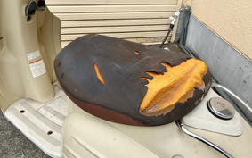 SUZUKI VERUDE CA1MB
