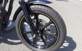 HARLEY XL1200C 2007 CT3