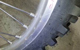 GASGAS EC 250 F 2014