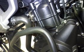 TRIUMPH TIGER 800 XR X 2017