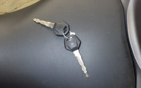 YAMAHA YZF-R25 2020 RG43J