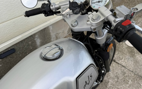 OTHER YELLOW YADO WELL 125