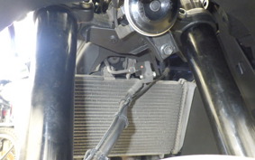 YAMAHA YZF-R25 A RG43J
