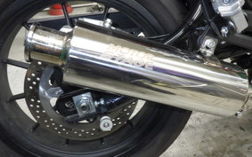 HARLEY X500 2024