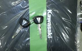 KAWASAKI W800 2021 EJ800B