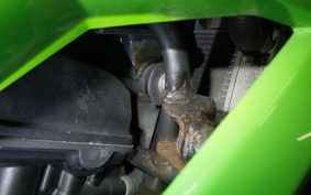 KAWASAKI NINJA 250 ABS 2025 EX250L