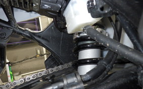 HONDA TRANSALP XL750 2024 RD16