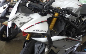 YAMAHA YZF-R25 RG43J