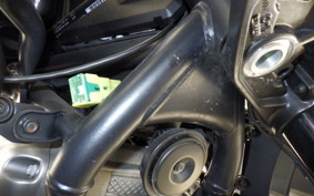 HARLEY ﾊﾟﾝ AMERICA1250S 2021